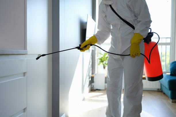 Best Office Mold Removal Services  in Laurel Park, NC