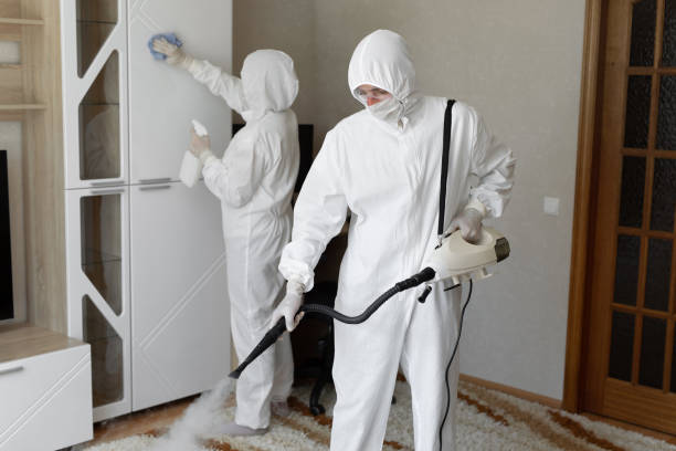 Best Mold Removal Process  in Laurel Park, NC