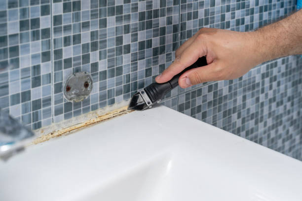 Best Residential Mold Removal  in Laurel Park, NC