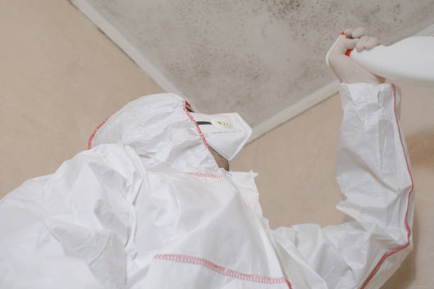 Professional Mold Removal in Laurel Park, NC