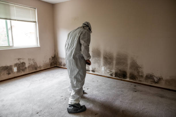 Best Office Mold Removal Services  in Laurel Park, NC
